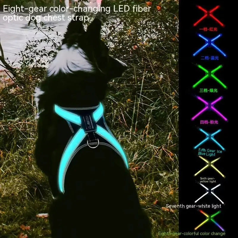 LED Reflective Dog Harness Set