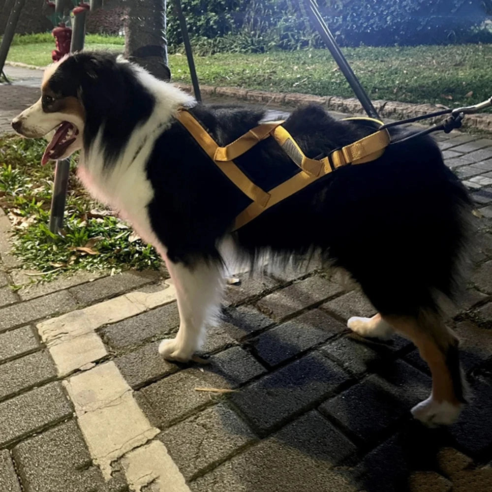 Strong Pulling Dog Harness