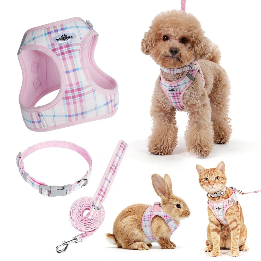 Dog Harness & Leash Set