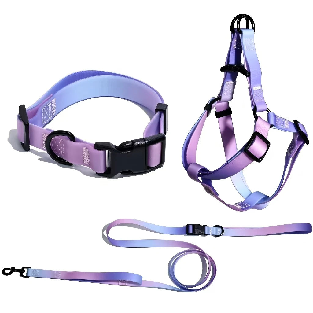 Adjustable Dog Outdoor Training Set