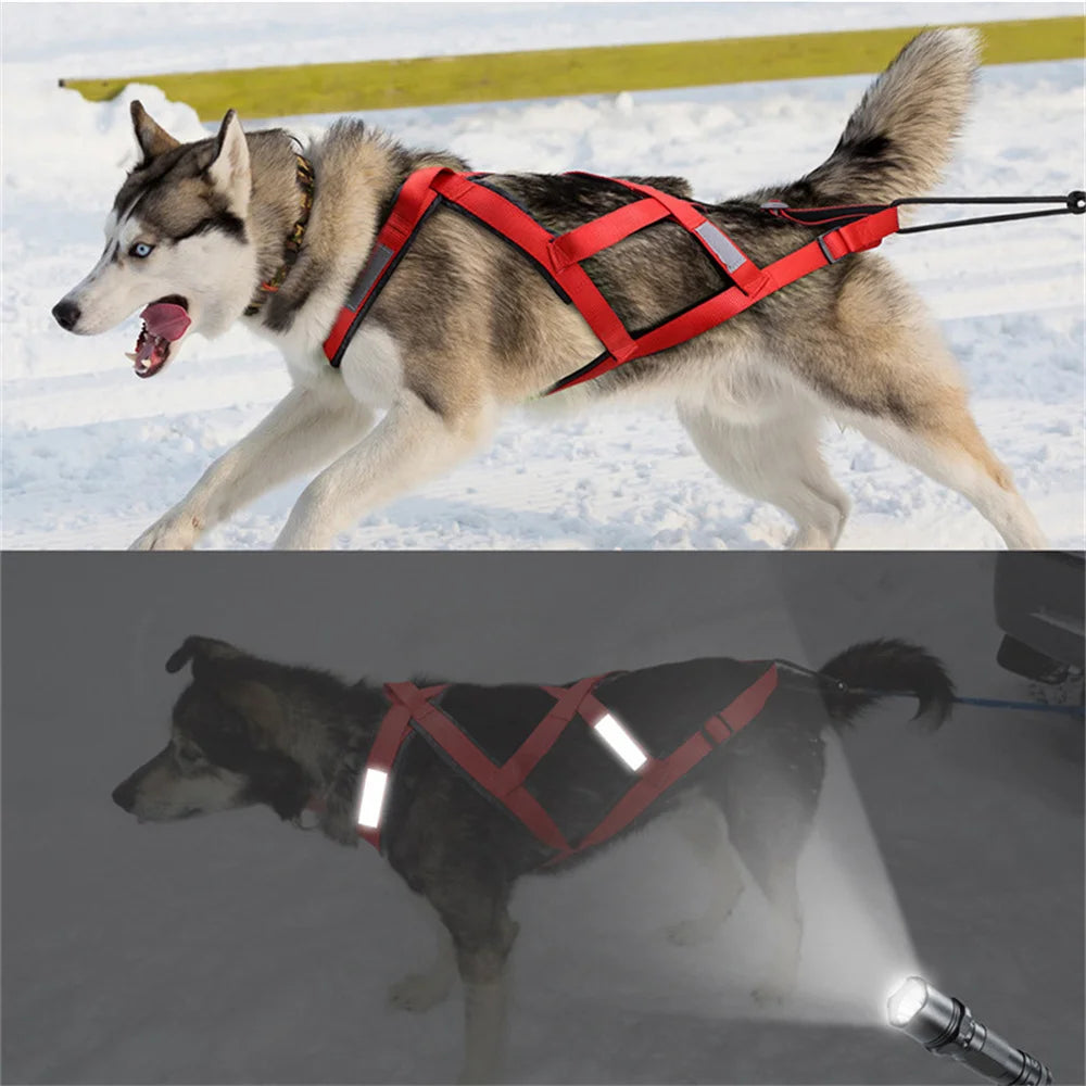 Strong Pulling Dog Harness