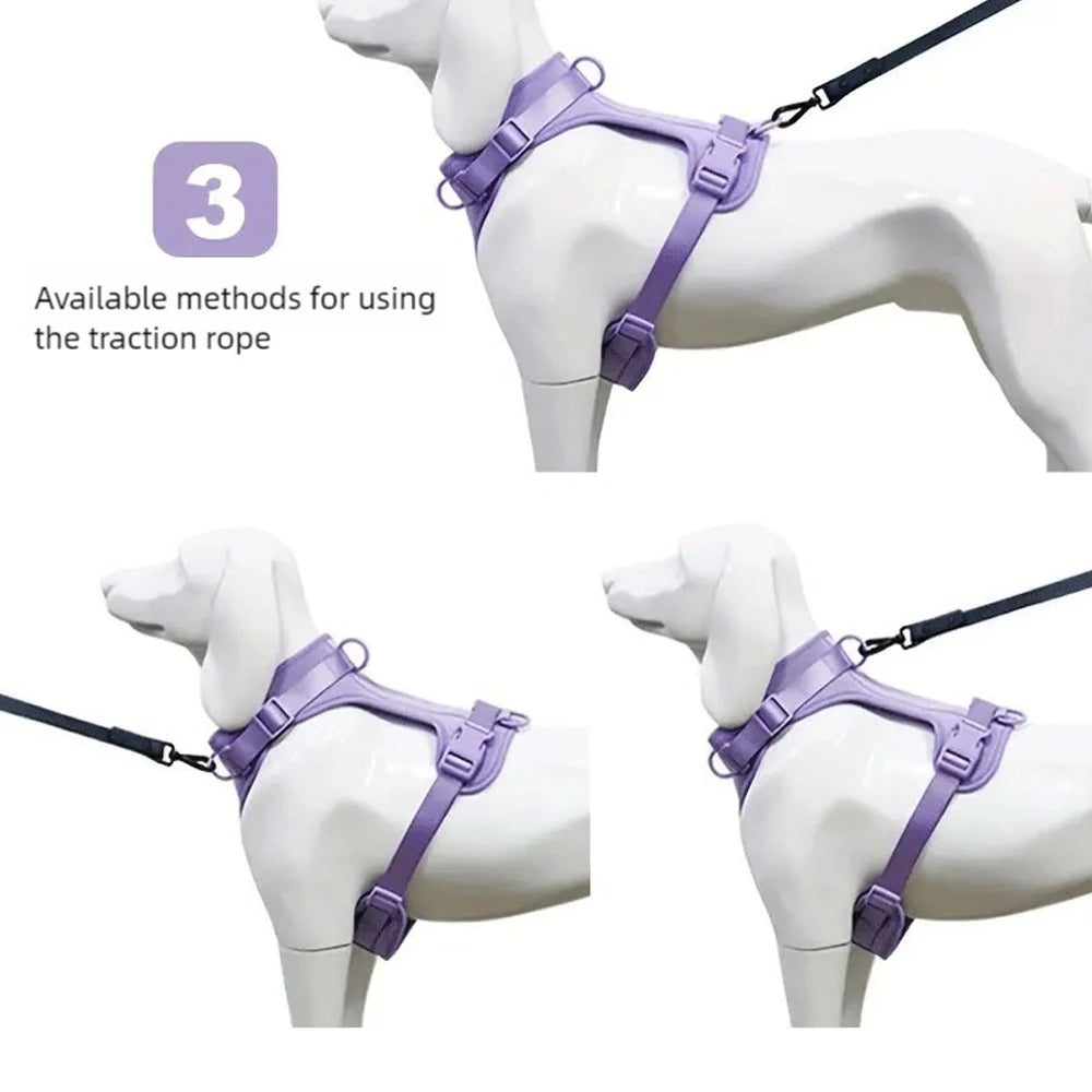 Breathable Dog Harness Set