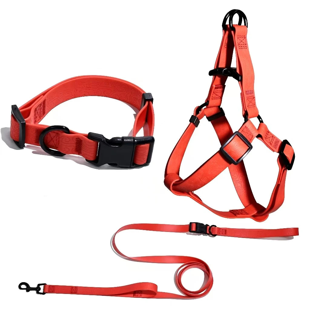 Adjustable Dog Outdoor Training Set
