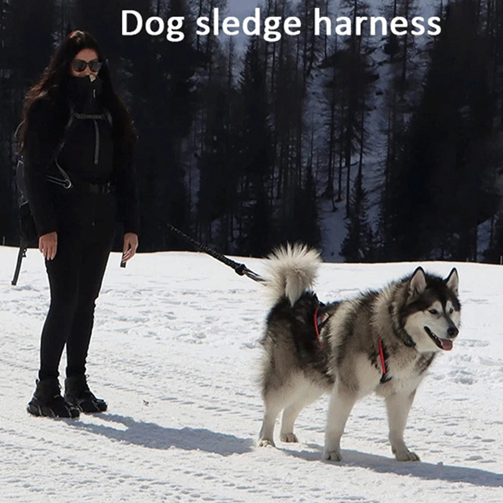 Strong Pulling Dog Harness
