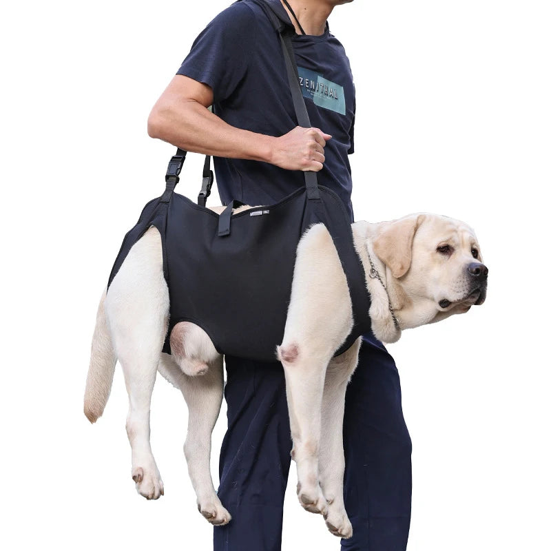 Dog Mobility Assistance Harness