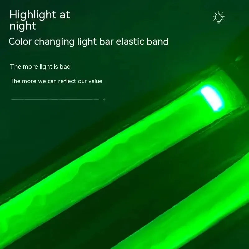 LED Reflective Dog Harness Set