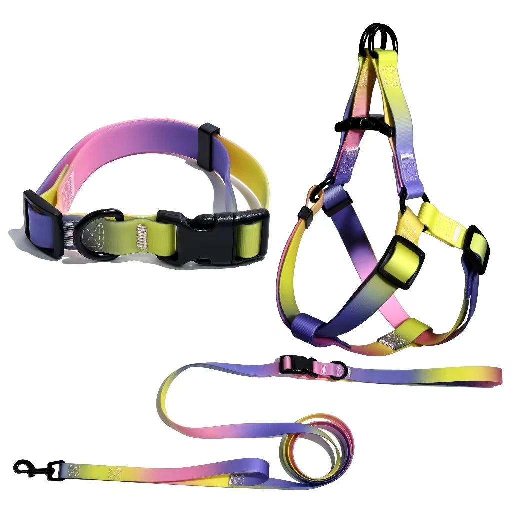 Adjustable Dog Outdoor Training Set