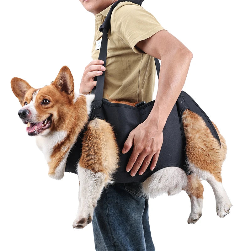 Dog Mobility Assistance Harness