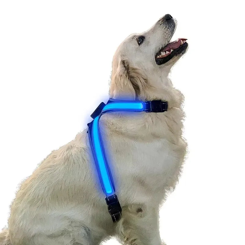 LED Reflective Dog Harness Set