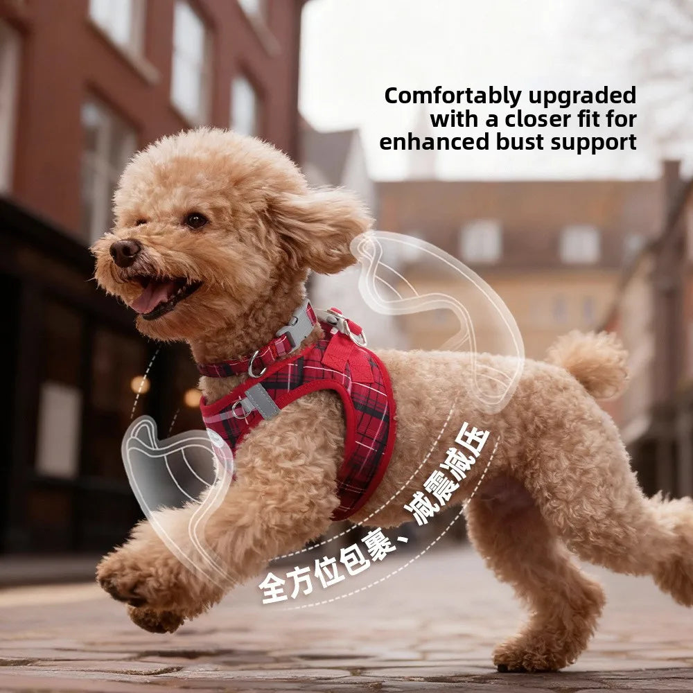 Dog Harness & Leash Set