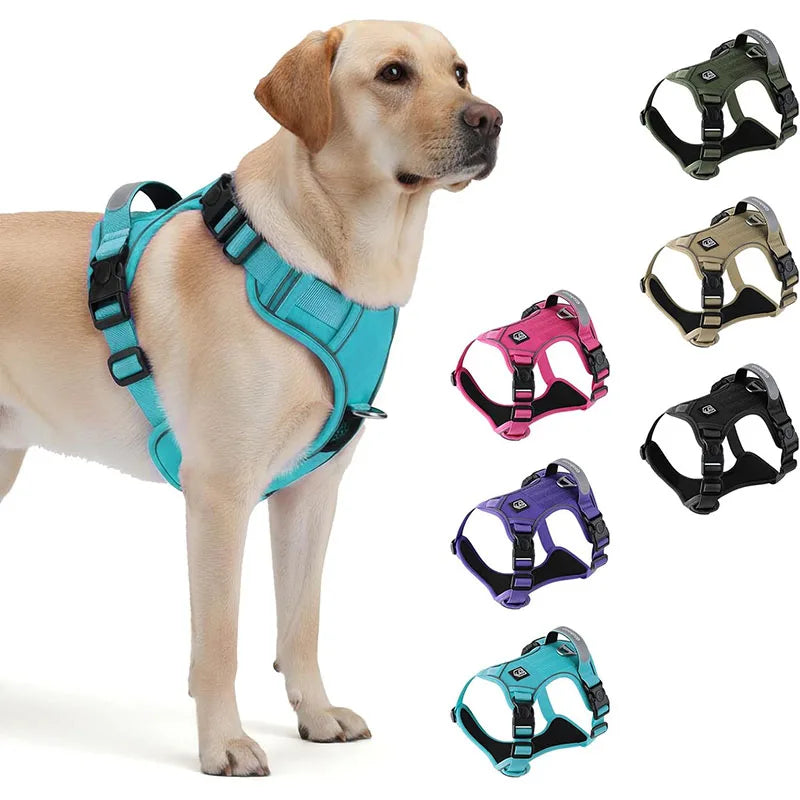 Adjustable Dog Harness with AirTag Holder