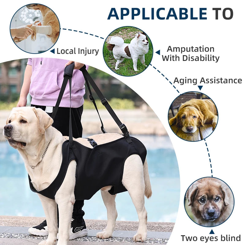 Dog Mobility Assistance Harness