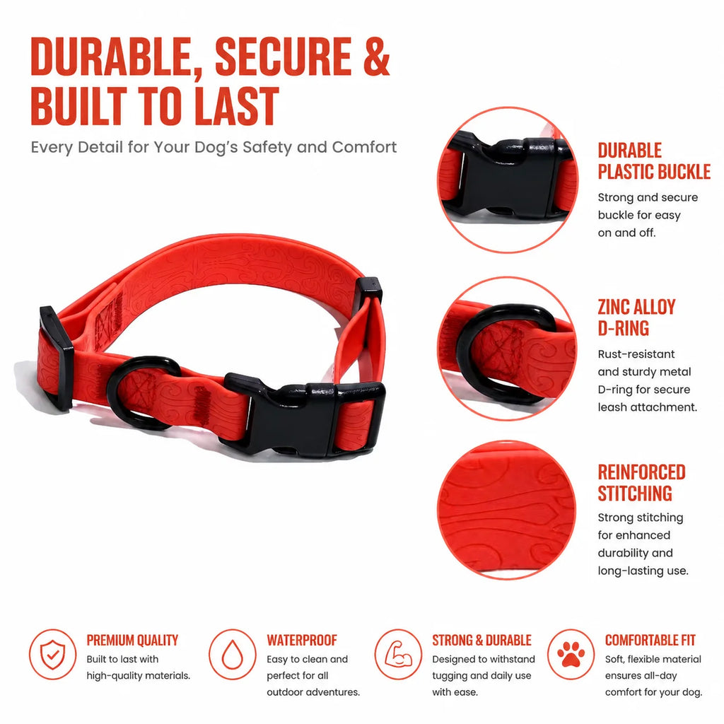 Adjustable Dog Outdoor Training Set