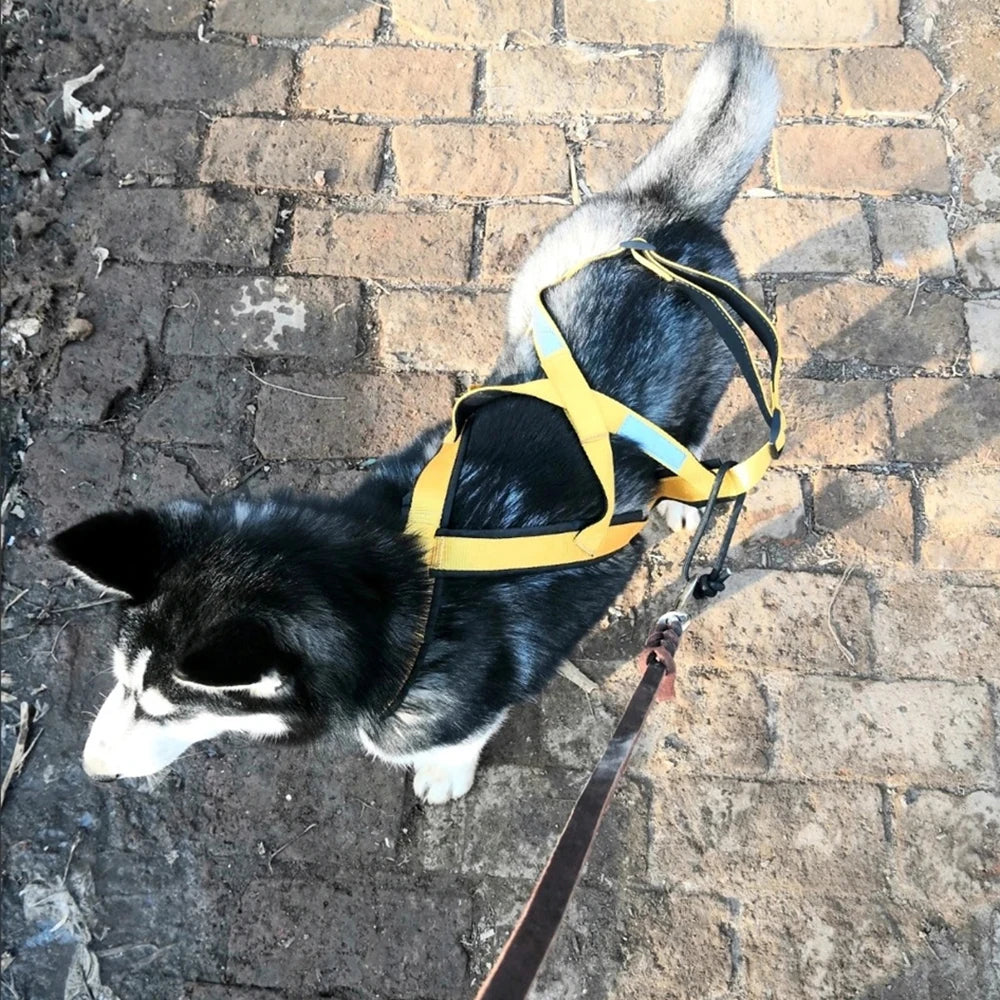 Strong Pulling Dog Harness
