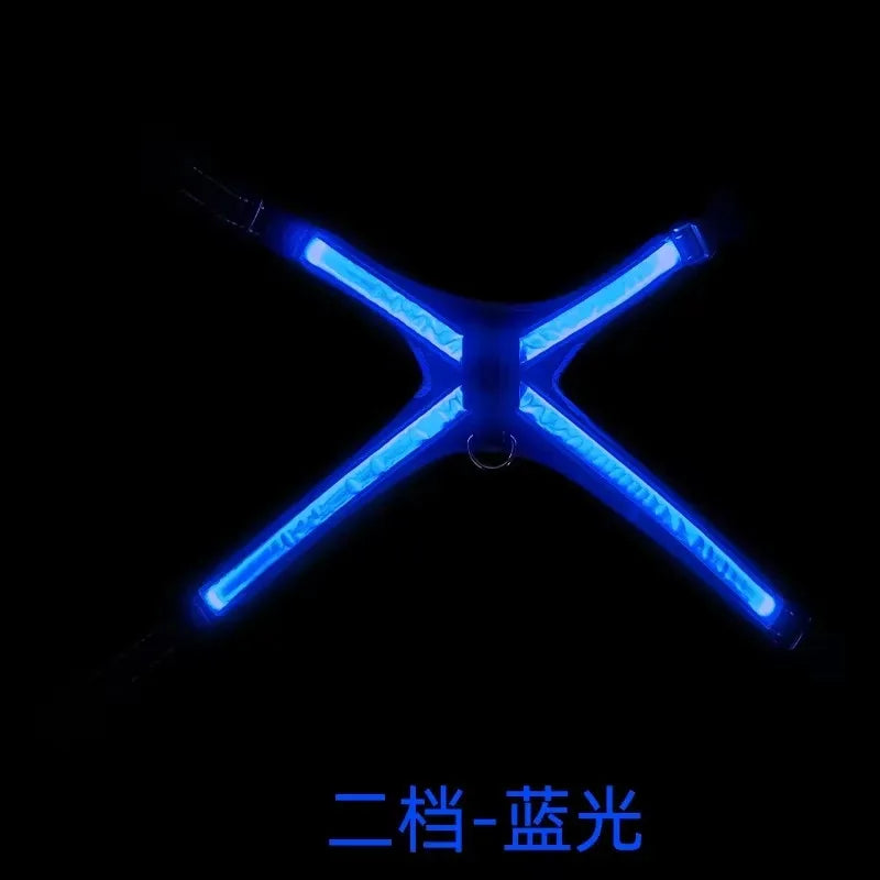 LED Reflective Dog Harness Set