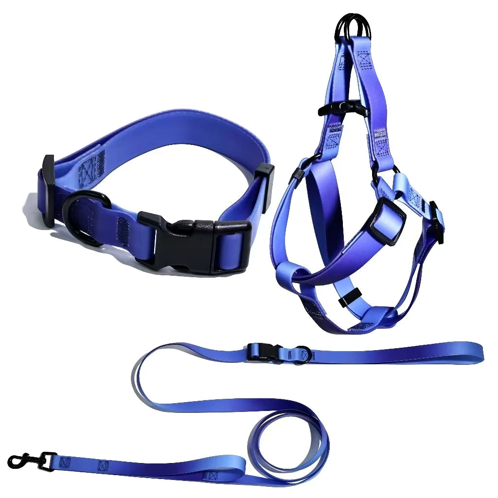Adjustable Dog Outdoor Training Set