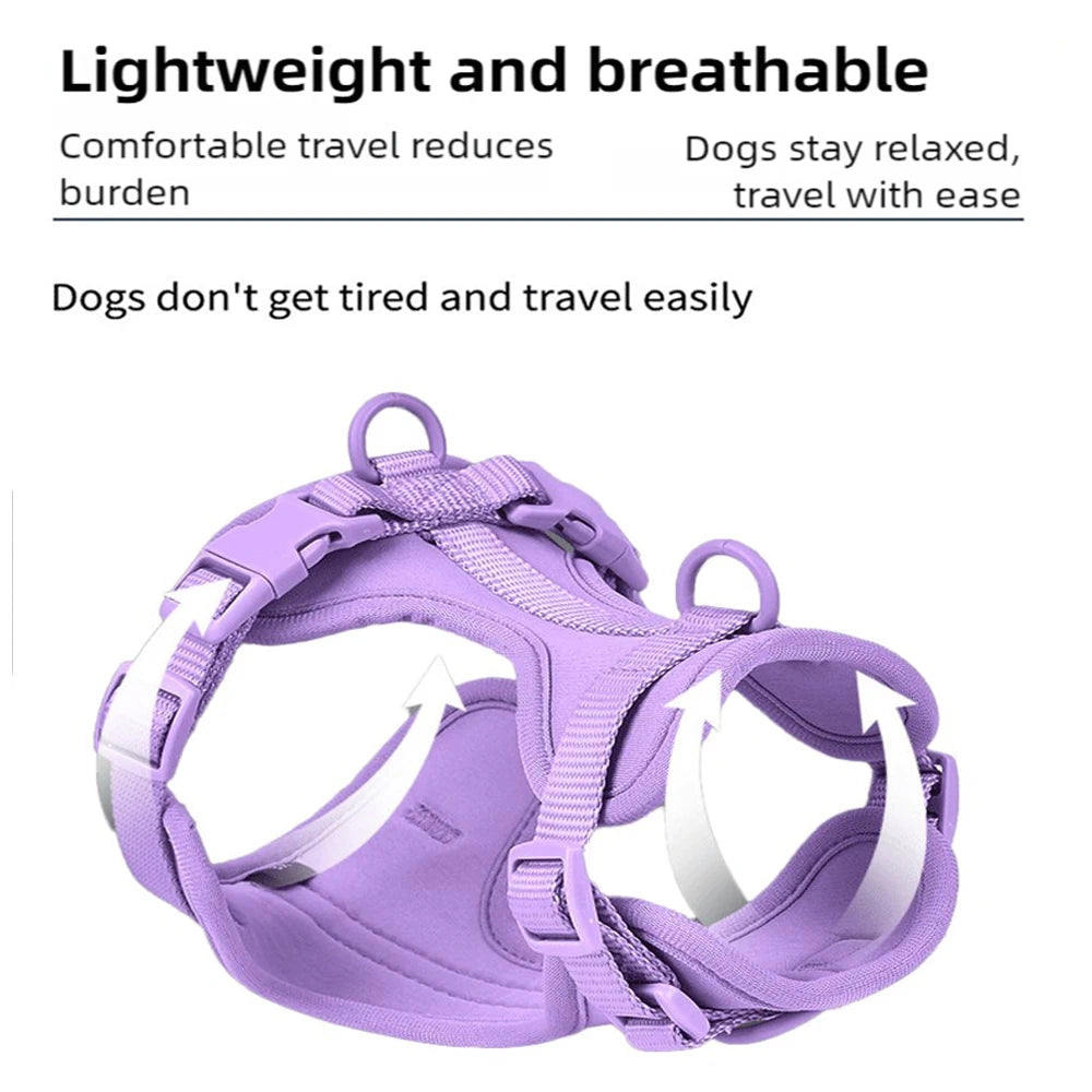 Breathable Dog Harness Set