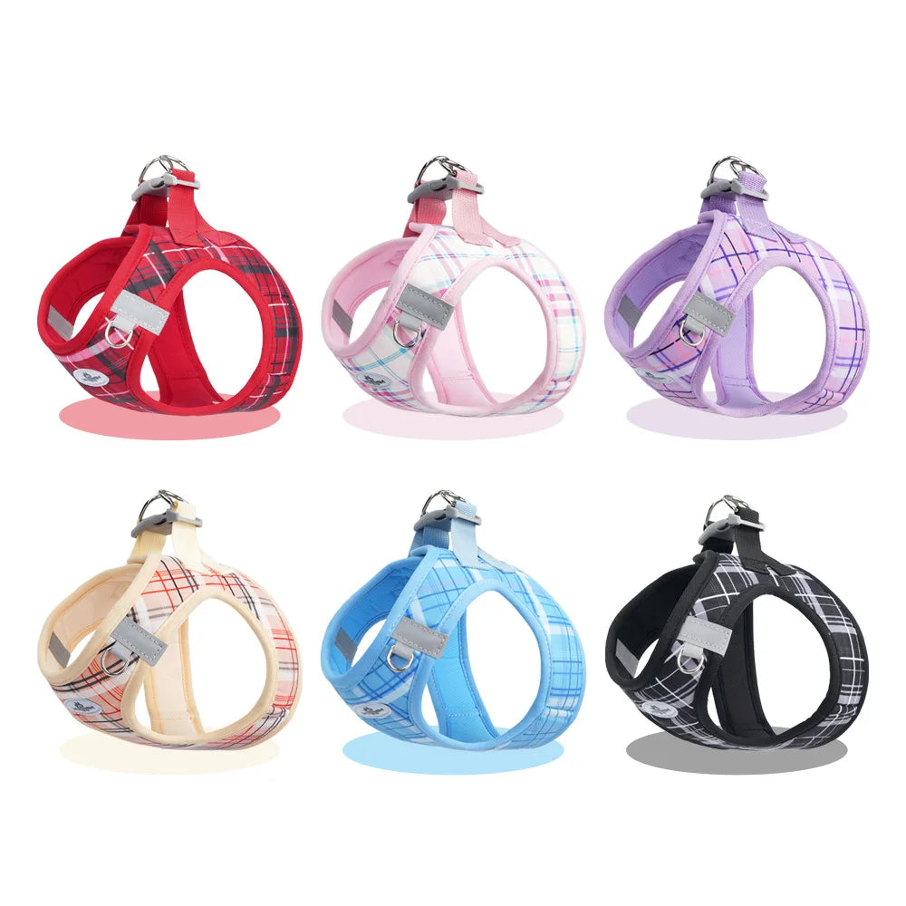 Dog Harness & Leash Set
