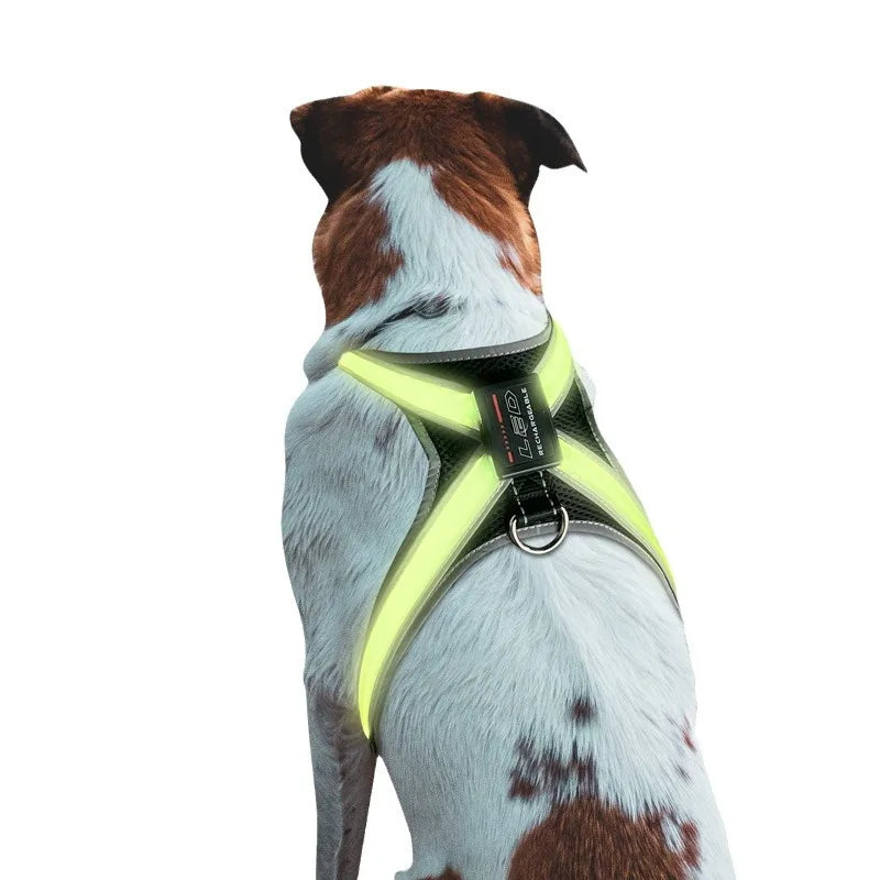 LED Reflective Dog Harness Set